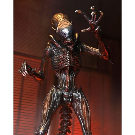 ALIEN ROMULUS - Scorched Xenomorph - Ultimate Figurine 18cm 