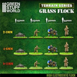 Herbe Statique 4-6mm- HAYFIELD GRASS - 200ml 2