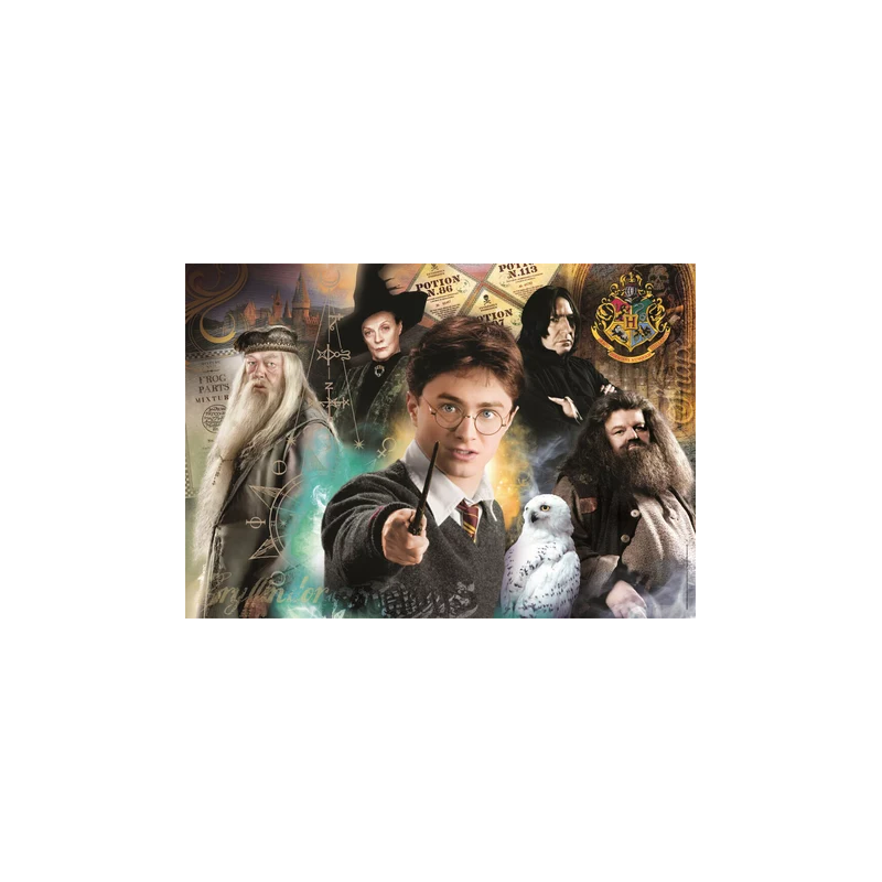 HARRY POTTER - Harry - Puzzle 500P 