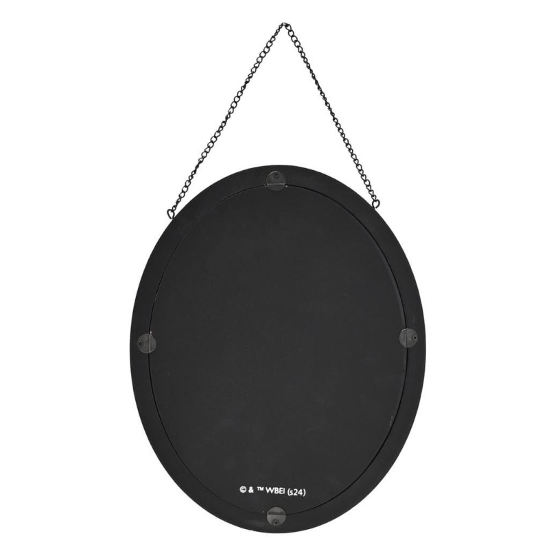 HARRY POTTER - Mangemort - Plaque Miroir Décorative Oval 