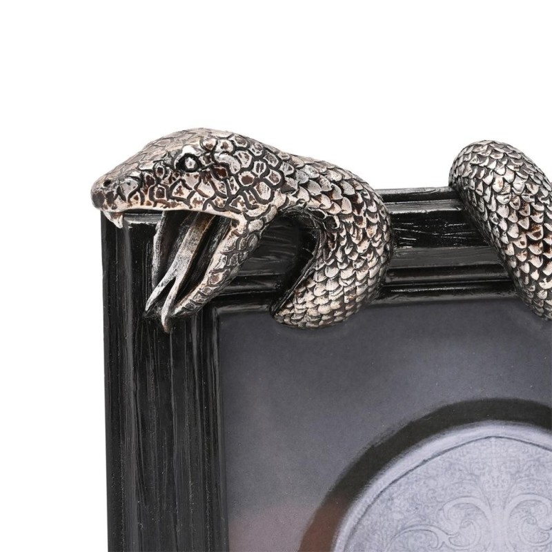 HARRY POTTER - Nagini - Cadre Photo 3D 