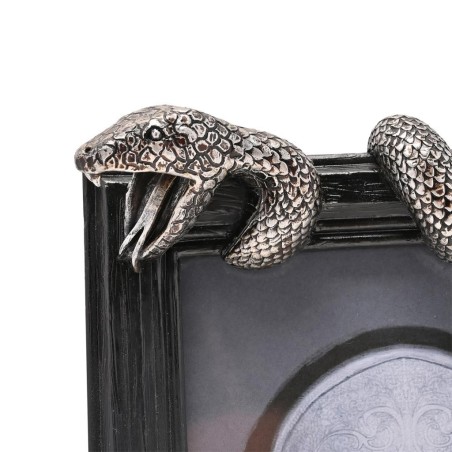 HARRY POTTER - Nagini - Cadre Photo 3D 