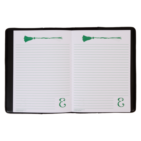 WICKED - Elphaba Diary - Journal LoungeFly 