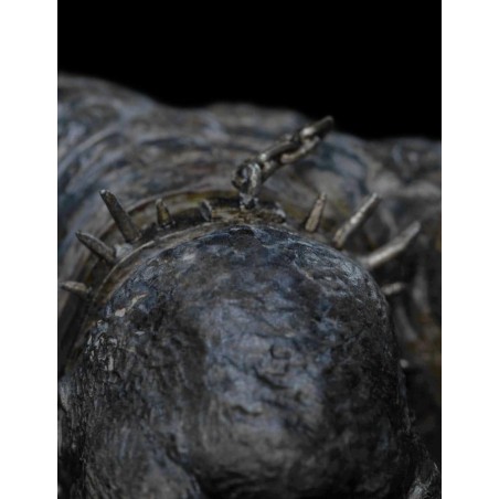 LE SEIGNEUR DES ANNEAUX - Troll des cavernes - Statuette 16cm 