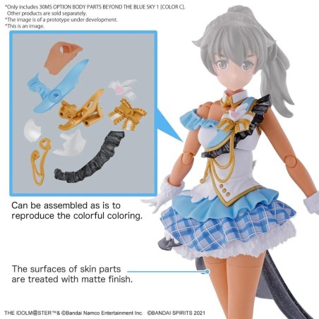 IDOLMASTER -Option Body Parts Beyond The Blue Sky 1 color C -Model Kit 