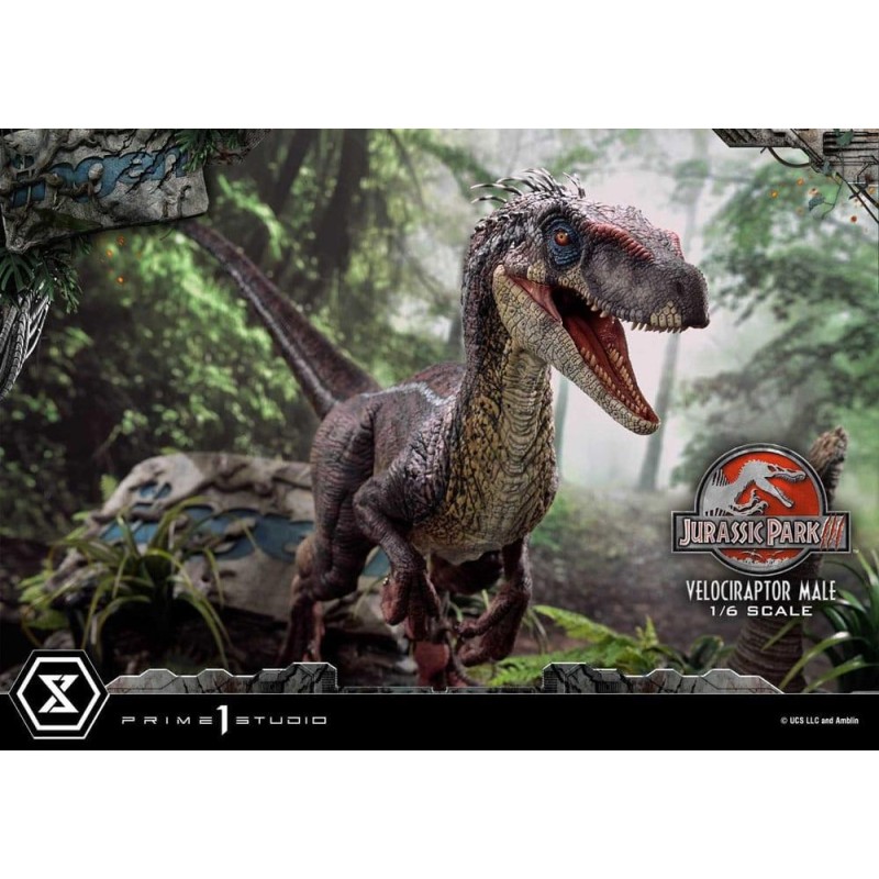 JURASSIC PARK 3 - Velociraptor Male - Statuette Legacy Museum 40cm 