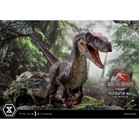 JURASSIC PARK 3 - Velociraptor Male - Statuette Legacy Museum 40cm 