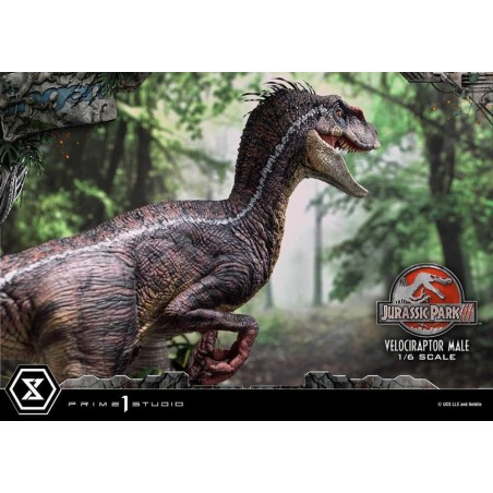 JURASSIC PARK 3 - Velociraptor Male - Statuette Legacy Museum 40cm 
