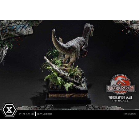 JURASSIC PARK 3 - Velociraptor Male - Statuette Legacy Museum 40cm 
