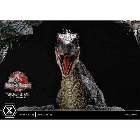 JURASSIC PARK 3 - Velociraptor Male - Statuette Legacy Museum 40cm 