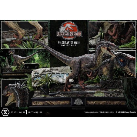 JURASSIC PARK 3 - Velociraptor Male - Statuette Legacy Museum 40cm 