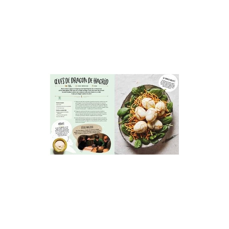 HARRY POTTER - Le livre de cuisine officiel - Super facile 