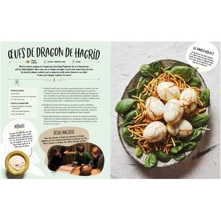 HARRY POTTER - Le livre de cuisine officiel - Super facile 