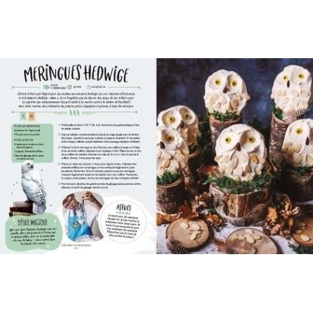 HARRY POTTER - Le livre de cuisine officiel - Super facile 
