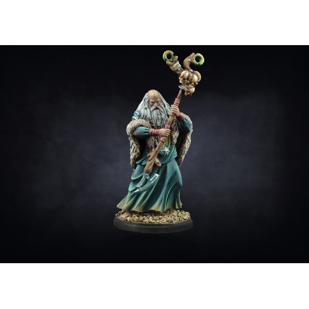 Nords: Shaman
