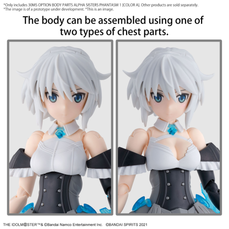 THE IDOLMASTER-30MS Option Body Parts Alpha Sisters ... 1 -Model Kit 