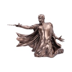 HARRY POTTER - Voldemort "Avada Kedavra" - Buste 24.5cm  2