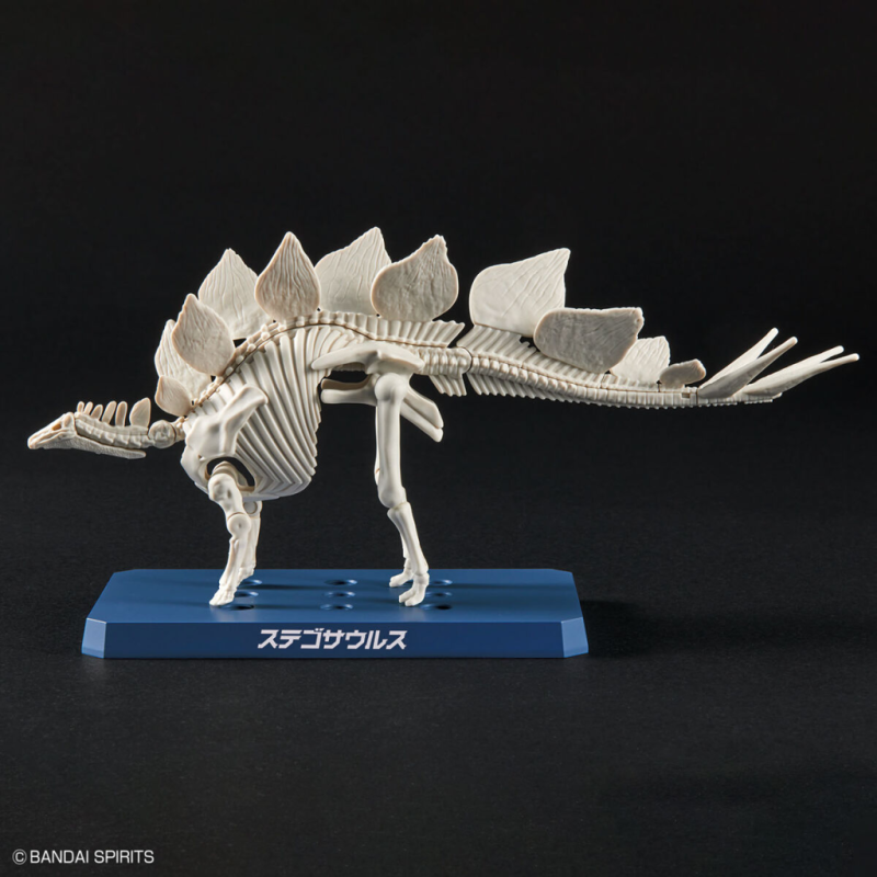 DINOSAUR - New Dinosaur Plastic Stegosaurus (Tentative) - Model Kit 