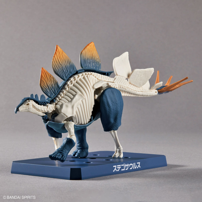DINOSAUR - New Dinosaur Plastic Stegosaurus (Tentative) - Model Kit 