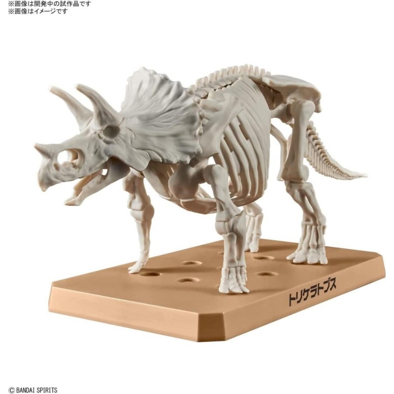 DINOSAUR - New Dinosaur Plastic Triceratops (Tentative) - Model Kit 