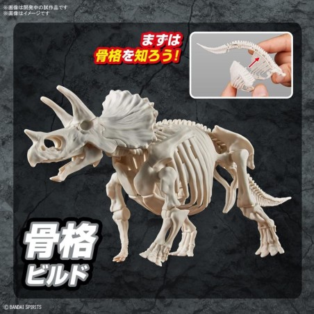 DINOSAUR - New Dinosaur Plastic Triceratops (Tentative) - Model Kit 