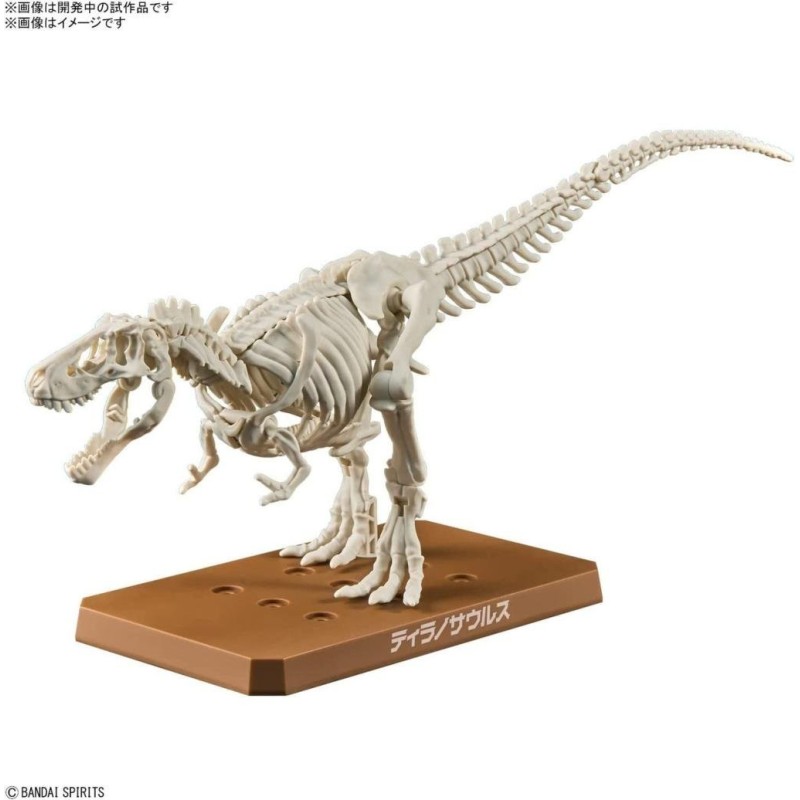 DINOSAUR - New Dinosaur Plastic Tyrannosaurus (Tentative) - Model Kit 