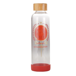 HARRY POTTER - Fier Gryffondor - Bouteille d'eau en Verre 500ml  2