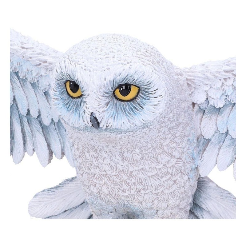 HARRY POTTER - Hedwige - Décoration Murale 45cm 