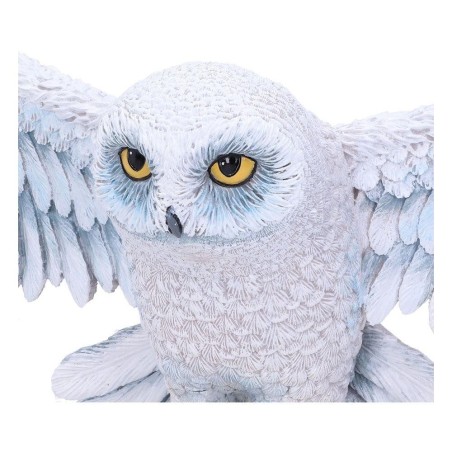 HARRY POTTER - Hedwige - Décoration Murale 45cm 