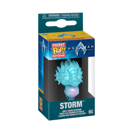 AQUAMAN 2 - Pocket Pop Keychains - Storm 