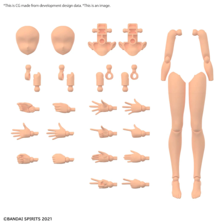 30MS - 30MS Option Body Parts Arm & Leg Parts (Color C) - Model Kit 