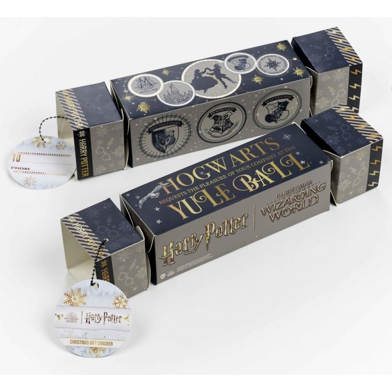 HARRY POTTER - Cracker Cadeau - Collier & Boucles d'Oreilles Lunettes 