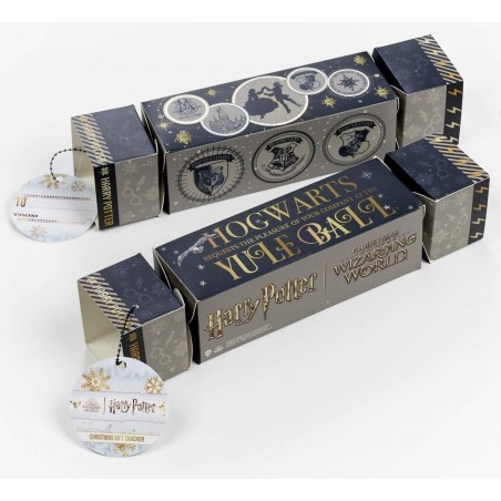 HARRY POTTER - Cracker Cadeau - Collier & Boucles d'Oreilles Lunettes 
