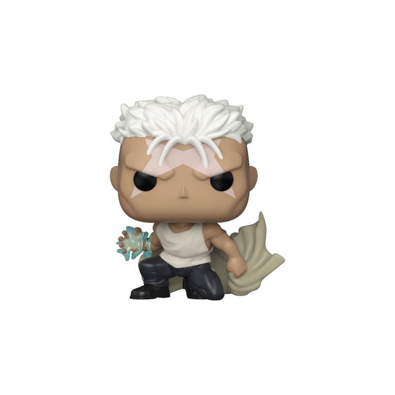 FULLMETAL ALCHEMIST - POP N° 1179 - Scar 