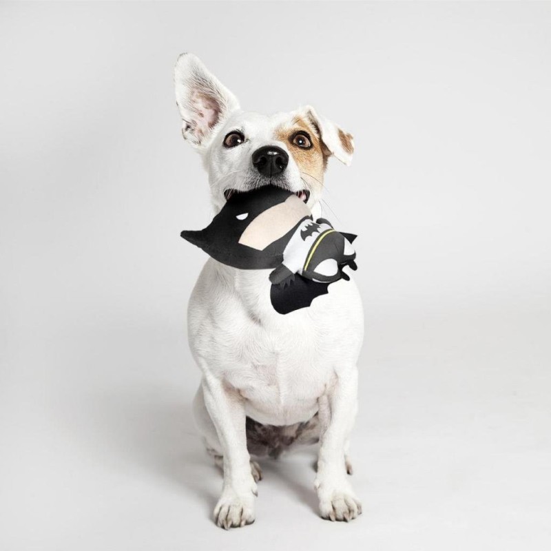 BATMAN - Jouet Peluche pour Chien 