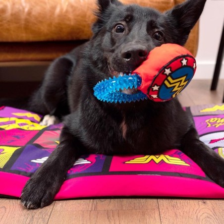 WONDER WOMAN - Jouet - Anneau de Dentition pour Chien 