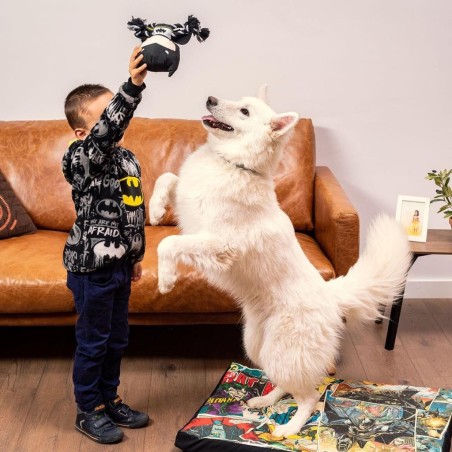 BATMAN - Jouet en Corde pour Chien - Batman 