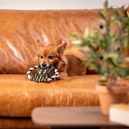 BATMAN - Jouet de Dentition en Corde pour Chien 