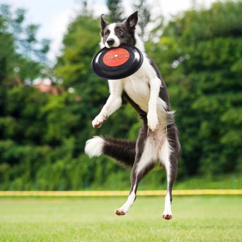 AC/DC - Jouet pour Chien - Frisbee '23cm' 