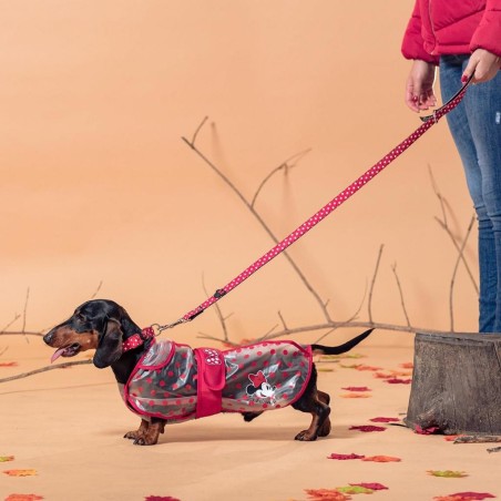 MINNIE - Imperméable pour Chien - L 