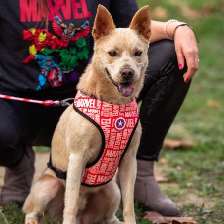 MARVEL - Harnais pour Chien Réversible - S/M 