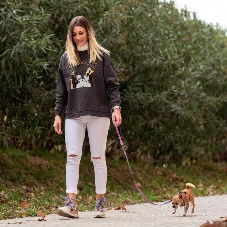 VILLAINS - Laisse pour Chien - M (Longueur 120cm - Largeur 2cm) 