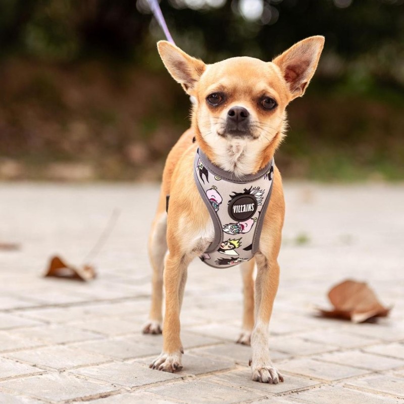 VILLAINS - Harnais pour Chien Réversible - XS/S 
