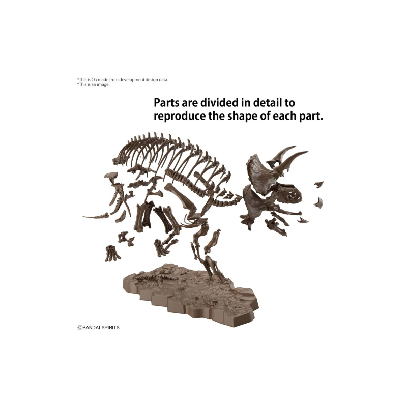IMAGERY SKELETON - 1/32 Triceratops - Model Kit 