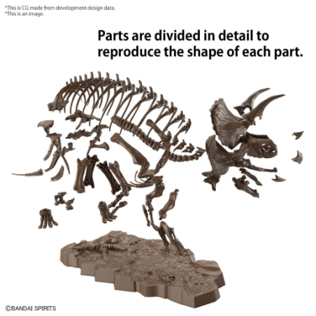 IMAGERY SKELETON - 1/32 Triceratops - Model Kit 