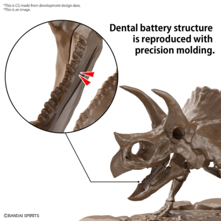 IMAGERY SKELETON - 1/32 Triceratops - Model Kit 