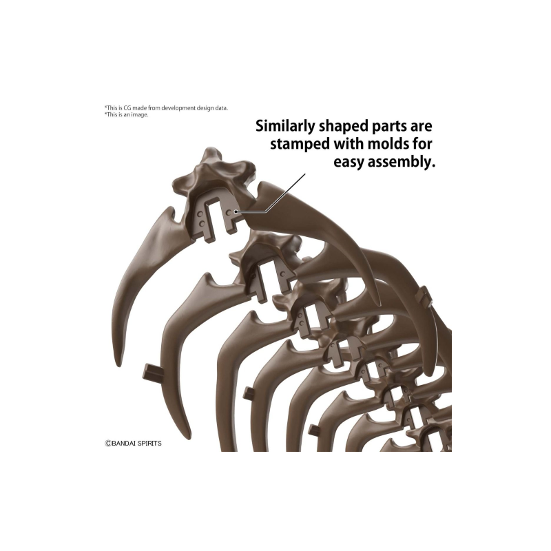 IMAGERY SKELETON - 1/32 Triceratops - Model Kit 
