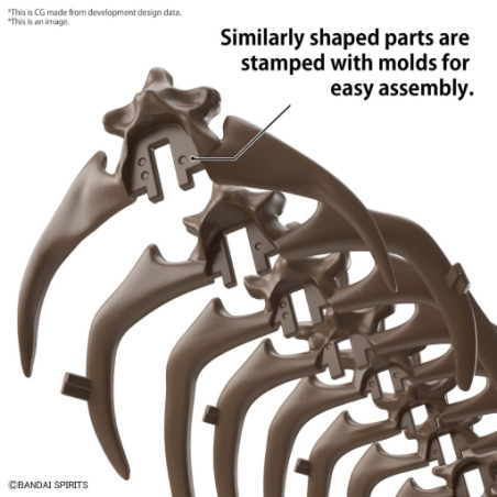 IMAGERY SKELETON - 1/32 Triceratops - Model Kit 