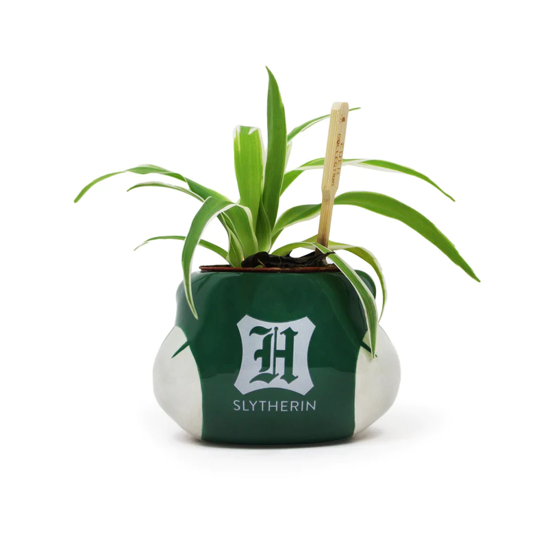 HARRY POTTER - Serpentard - Pot Pour Plante 