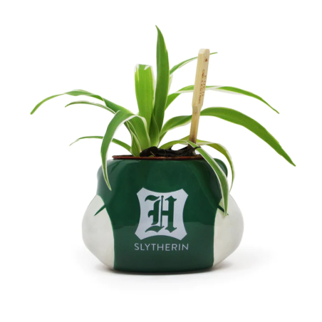 HARRY POTTER - Serpentard - Pot Pour Plante 